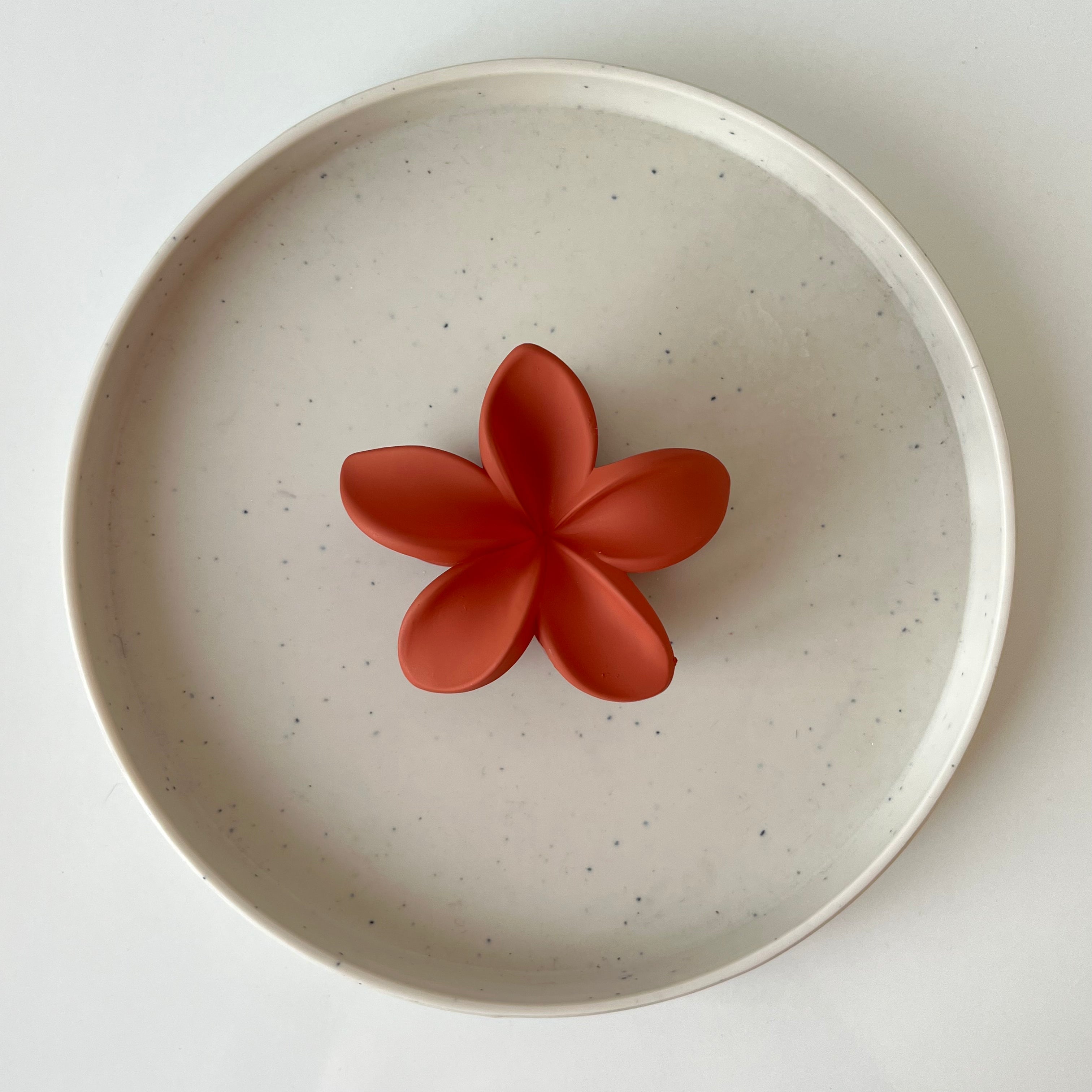 Maranta Claw Clip – Large